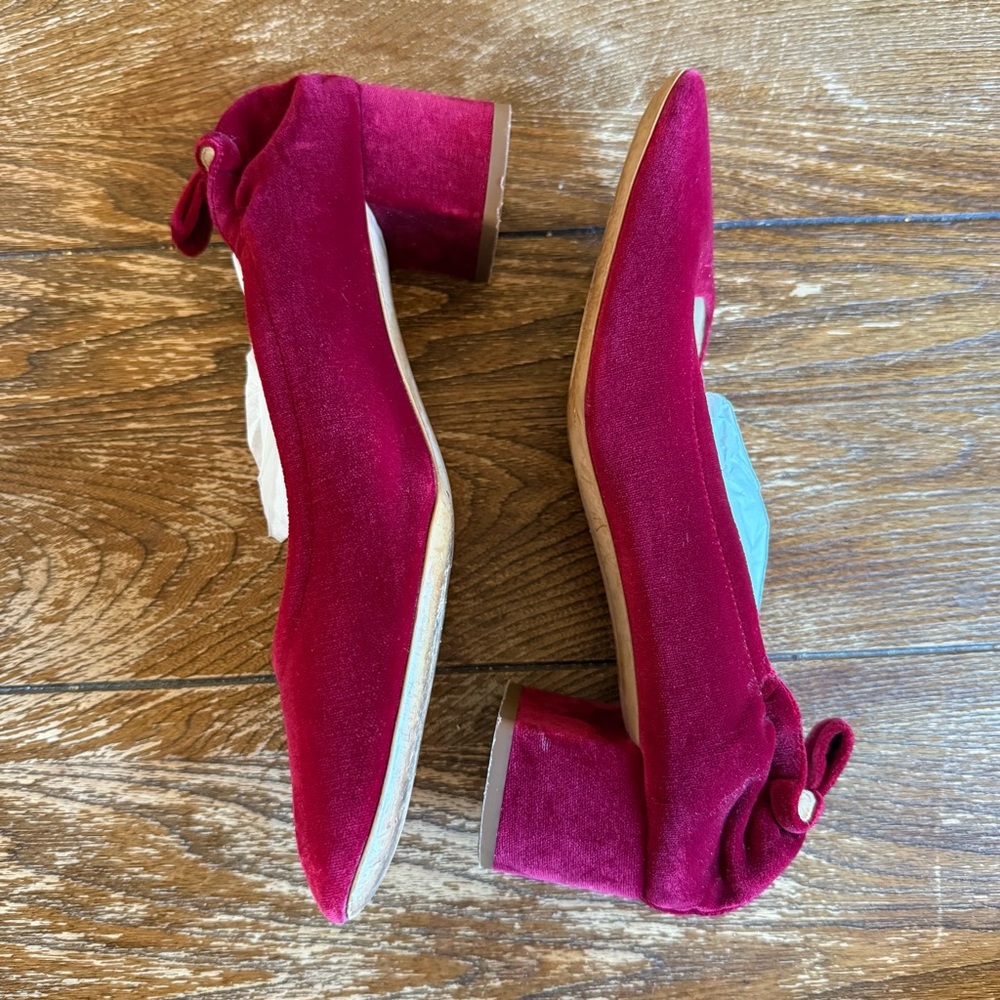 EVERLANE - Elegant Velvet Block Heel Shoes in Cranberry - 7